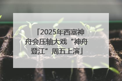2025年西塞神舟会压轴大戏“神舟登江”周五上演