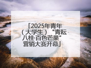 2025年青年（大学生）“青耘八桂·百色芒果”营销大赛开幕