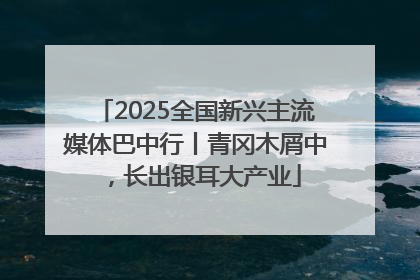2025全国新兴主流媒体巴中行丨青冈木屑中，长出银耳大产业