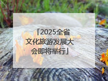 2025全省文化旅游发展大会即将举行