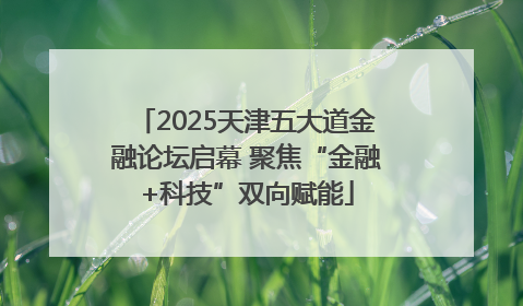 2025天津五大道金融论坛启幕 聚焦“金融+科技”双向赋能