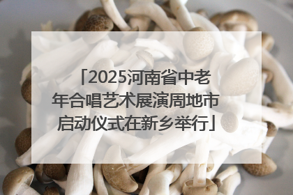 2025河南省中老年合唱艺术展演周地市启动仪式在新乡举行