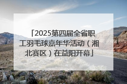 2025第四届全省职工羽毛球嘉年华活动（湘北赛区）在益阳开幕