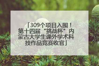 309个项目入围！第十四届“挑战杯”内蒙古大学生课外学术科技作品竞赛收官