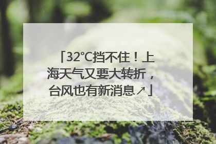 32℃挡不住！上海天气又要大转折，台风也有新消息↗