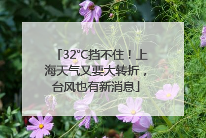32℃挡不住！上海天气又要大转折，台风也有新消息