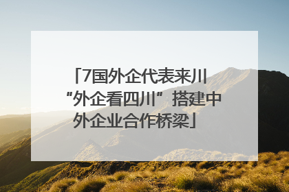 7国外企代表来川 “外企看四川”搭建中外企业合作桥梁