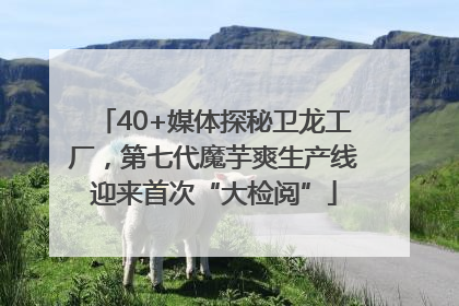 40+媒体探秘卫龙工厂，第七代魔芋爽生产线迎来首次“大检阅”