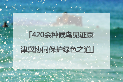 420余种候鸟见证京津冀协同保护绿色之道