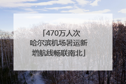 470万人次 哈尔滨机场暑运新增航线畅联南北