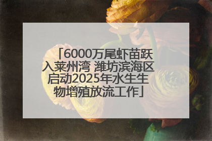 6000万尾虾苗跃入莱州湾 潍坊滨海区启动2025年水生生物增殖放流工作