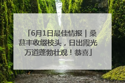 6月1日最佳情报｜桑葚丰收缀枝头，日出霞光万道蓬勃壮观！恭喜