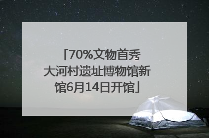 70%文物首秀 大河村遗址博物馆新馆6月14日开馆