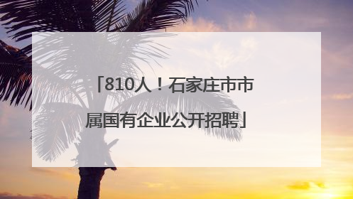 810人！石家庄市市属国有企业公开招聘