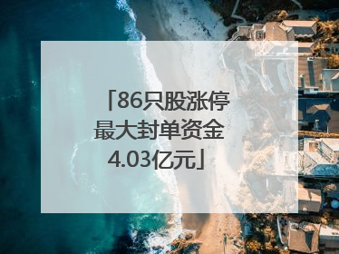 86只股涨停 最大封单资金4.03亿元