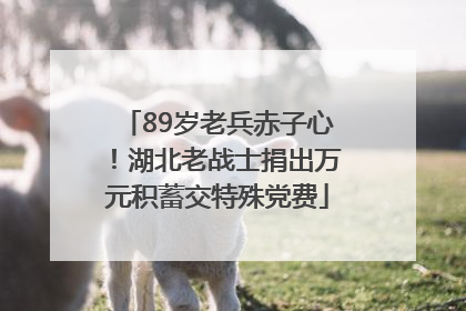 89岁老兵赤子心！湖北老战士捐出万元积蓄交特殊党费