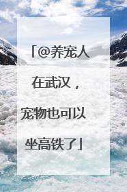 @养宠人 在武汉，宠物也可以坐高铁了