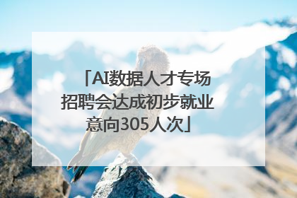 AI数据人才专场招聘会达成初步就业意向305人次
