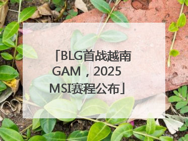 BLG首战越南GAM，2025MSI赛程公布