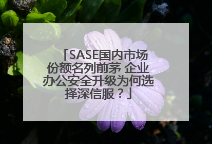 SASE国内市场份额名列前茅 企业办公安全升级为何选择深信服？