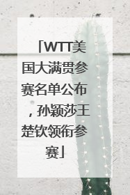 WTT美国大满贯参赛名单公布，孙颖莎王楚钦领衔参赛