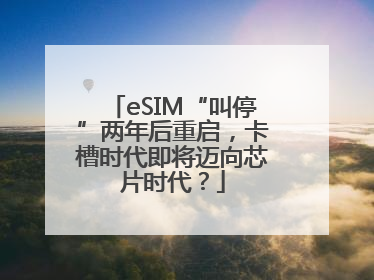 eSIM“叫停”两年后重启，卡槽时代即将迈向芯片时代？